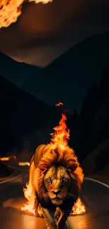 Lion engulfed in flames on a dark road wallpaper.