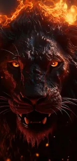 Majestic lion surrounded by fiery flames in a stunning wallpaper.