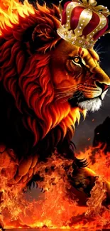 Majestic lion with crown surrounded by flames.