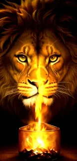 Majestic lion with fiery flames in a striking mobile wallpaper design.