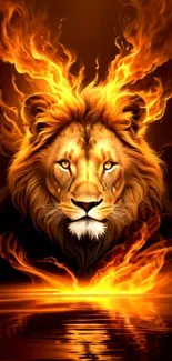 Fiery lion with flames in mobile wallpaper art.