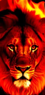 Fiery lion wallpaper with striking red flames.