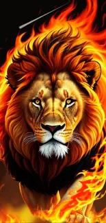 Fiery lion head with vibrant flames in an orange-themed design.