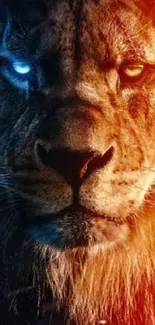 Fiery lion with blue and orange eyes on mobile wallpaper.