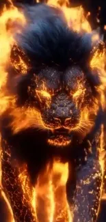 Lion engulfed in flames creating a dramatic effect wallpaper.