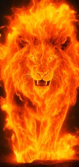 Fiery lion engulfed in bright flames.