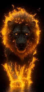 Fiery lion image with flames on black background.