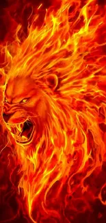 Fiery lion with blazing mane creating a dynamic mobile wallpaper aesthetic.