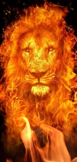 Fiery lion surrounded by flames, vibrant and bold.