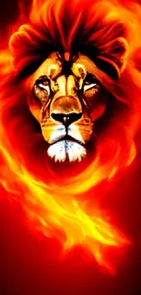 Lion engulfed in fiery flames, creating a bold and intense mobile wallpaper.