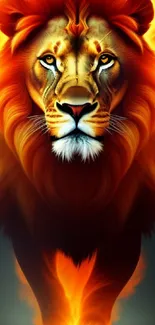 Fiery lion with flame-like mane, vibrant mobile wallpaper.