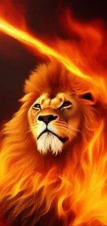 Fiery lion with blazing mane on digital wallpaper.