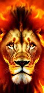 Fiery lion with a mane of flames, perfect for vibrant phone wallpaper.