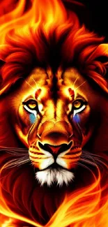 Majestic fiery lion with vibrant flames in this mobile wallpaper.