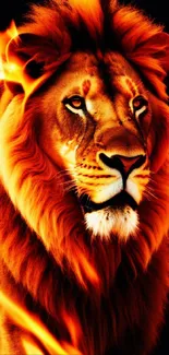 Vibrant image of a lion surrounded by flames in a bold, fiery mobile wallpaper.