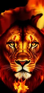 Fiery lion with flames artistic wallpaper for mobile.