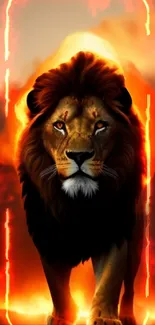 Fiery lion in black and orange setting, striking mobile wallpaper.