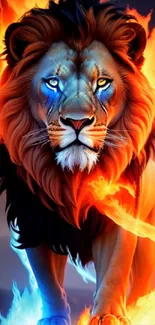 Majestic fiery lion with vibrant flames on a mobile wallpaper.