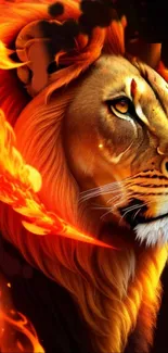 Fiery lion with orange flames wallpaper, perfect for phones.