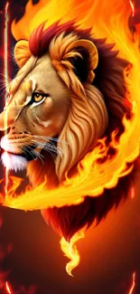 Fiery lion with flames on black wallpaper.