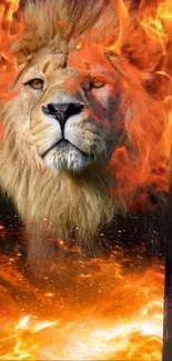 Fiery lion with vibrant flames mobile wallpaper.