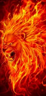 Fiery lion with blazing mane wallpaper, intense fire art.