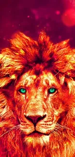 Fiery orange-maned lion on a magenta background mobile wallpaper.