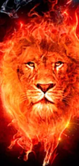 Fiery lion mobile wallpaper with vibrant red and orange hues.