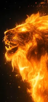 A roaring lion with a fiery mane on a mobile wallpaper.