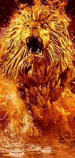 Fiery lion roaring with flames in background.