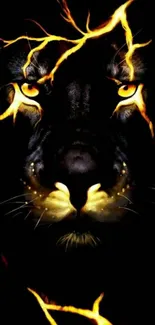 Fiery lion head wallpaper with intense dark background.