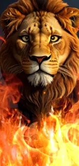 Lion amid vibrant flames, creating a dynamic smartphone wallpaper.