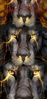 Trio of lions with fiery backgrounds in dark, dramatic wallpaper.