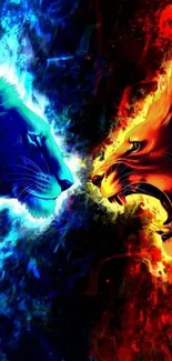 Fiery and cool lions facing off in vibrant mobile wallpaper.