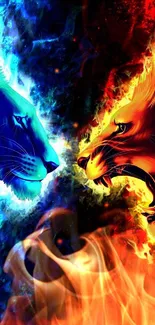 Fiery and icy lions face off in vivid mobile wallpaper.