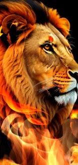 Majestic lion encircled by flames in a bold mobile wallpaper.