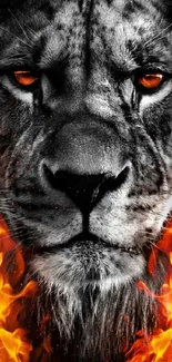 A lion's face surrounded by vivid flames on a dramatic mobile wallpaper.