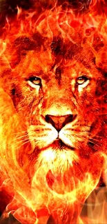 Fiery lion mobile wallpaper with intense orange flames.