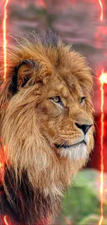 Majestic lion with fiery background for mobile wallpaper.