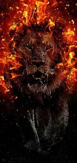 Fiery lion artwork with intense flames on black background.