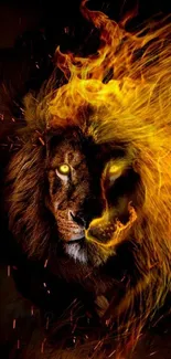 Lion with fiery mane on dark background wallpaper.