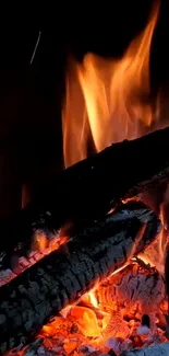 Burning logs with vibrant fire flames in a dark setting.