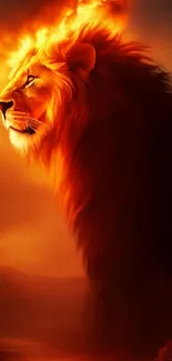 Majestic lion with fiery mane under a sunset sky.