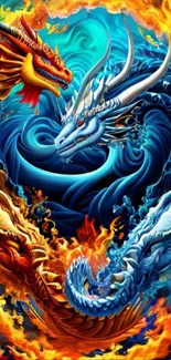 Mythical dragons in fiery blue and orange flames wallpaper.