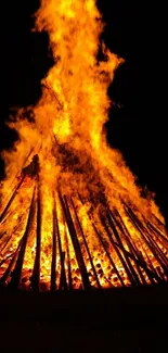 Vibrant bonfire blazing under night sky, creating a warm glow.