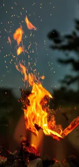 Vibrant campfire with glowing flames under a dark night sky.