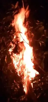 Flames amidst dark forest foliage at night.