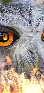 Owl with fiery eyes, gray feathers, flames in gaze.