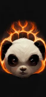 Panda with fiery ring on dark background.