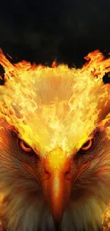 Fiery phoenix eagle with flames in vivid mobile wallpaper.